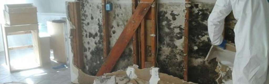 Mold in walls