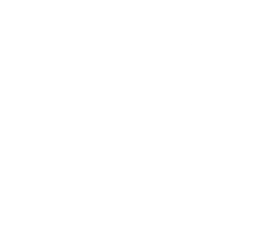Veteran Owned Small Business